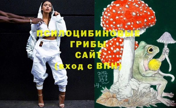 гидра Абинск