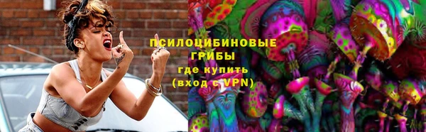 соль ск Осинники
