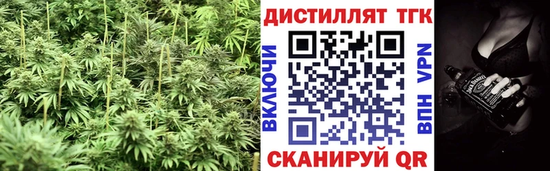 где можно купить   Инза  ТГК концентрат 